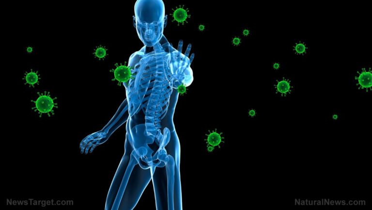 Boosting Immunity: The Power of Holistic Approaches