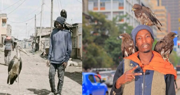 ‘Nairobi Birdman’ Rescues Helpless Birds in Kenya, Giving Them a Home He Never Had 'Nairobi Birdman' Rescues Helpless Birds in Kenya, Giving Them a Home He Never Had