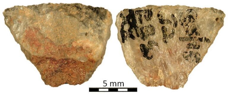 World’s Oldest Poisoned Arrowheads Date Back 60,000 Years, Show Hunters’ Knowledge of Toxins