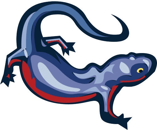 Access Ready Inc and Access Ready Strategic Launches Personal Injury Disability Services — Supporting Attorneys and Clients with Disability Services Navigation and Rights Resources Access Ready Inc and Access Ready Strategic Launches Personal Injury Disability Services -- Supporting Attorneys and Clients with Disability Services Navigation and Rights Resources