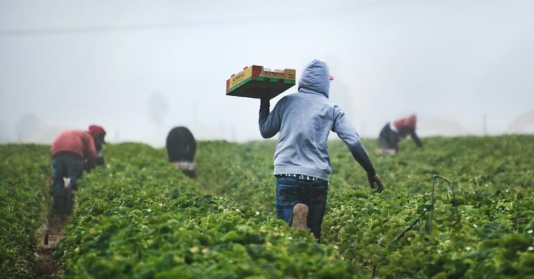 Florida immigrants create jobs and prosperity in their communities Search