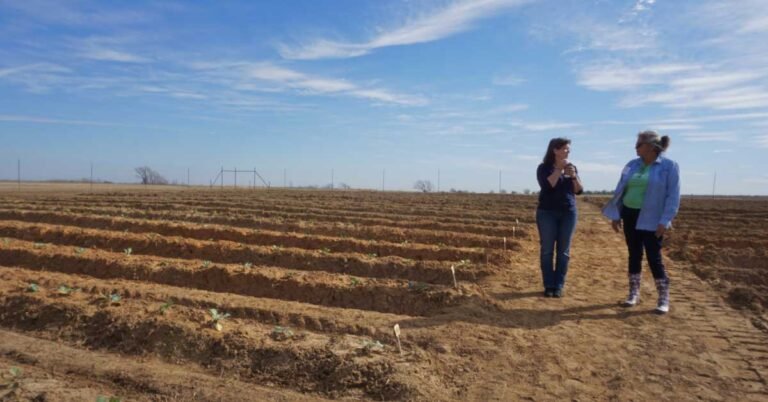 Garden in a former coal mine now feeds thousands every year Search