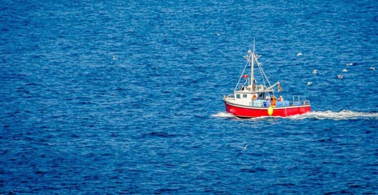 Over 90 California Fish Stocks Almost Totally Rebuilt Thanks to Trawling Ban, Other Measures
