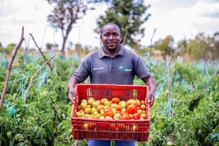 Regenerative agriculture sows success in Kenya