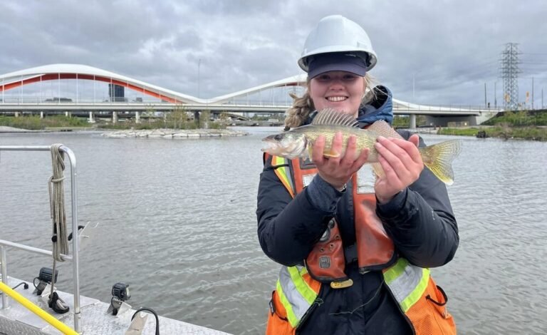 Toronto River Once So Polluted it Caught on Fire Now Is Flush with Fish