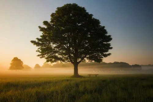 19 Timeless Life Lessons 90 Years of Wisdom Taught Me to Appreciate 19 Timeless Life Lessons 90 Years of Wisdom Taught Me to Appreciate