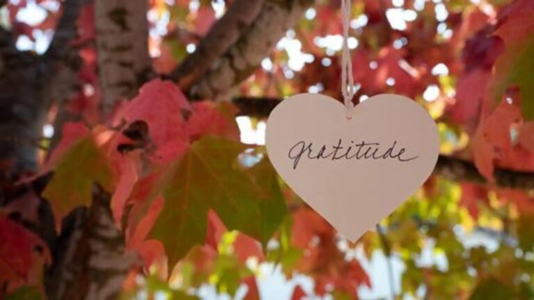 5 simple gratitude habits that can change your life 5 simple gratitude habits that can change your life
