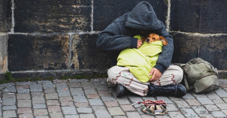 CA makes shelters pet-friendly; helps homeless get off streets Search
