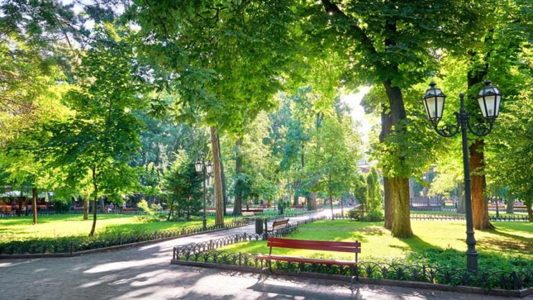 Image shows a park with a walk way, a bench and green trees