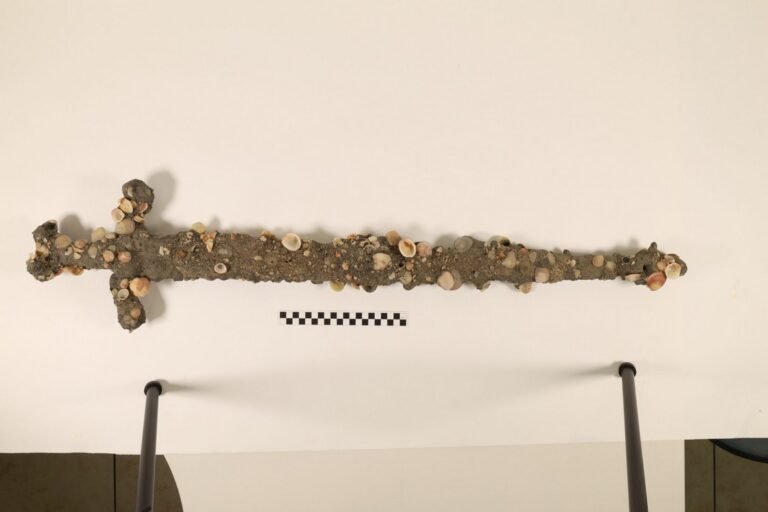 Diver Finds Crusader Sword in the Same Place He Found a Crusader Sword 5 Years Ago
