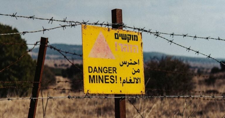 Drones and AI used to to quickly and safely remove land mines Search