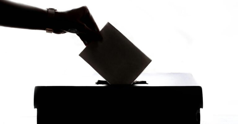 How to prevent elections from being stolen Search
