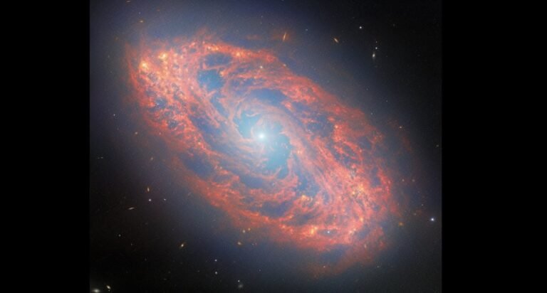 Jaw-Dropping Image of Spiral Galaxy Captured the Light Traveling Since the T. Rex Era–Thanks to Webb Telescope Jaw-Dropping Image of Spiral Galaxy Captured the Light Traveling Since the T. Rex Era–Thanks to Webb Telescope