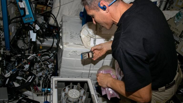 Scientists Successfully Mine Meteorites for Precious Metals on International Space Station