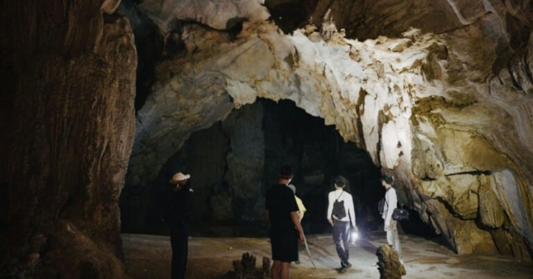 Scientists discover new species of ‘cavern creature’ Search