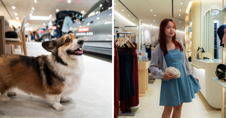 Self-care tips and tools for when adulting feels overwhelming, Lifestyle News