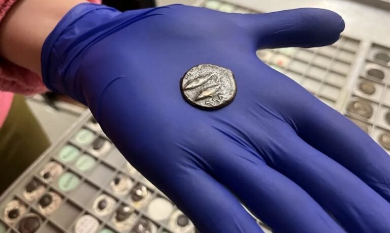 Someone Used This Coin as Bus Fare, Man Discovers it Was Minted by the Phoenicians 2,000 Years Ago Someone Used This Coin as Bus Fare, Man Discovers it Was Minted by the Phoenicians 2,000 Years Ago