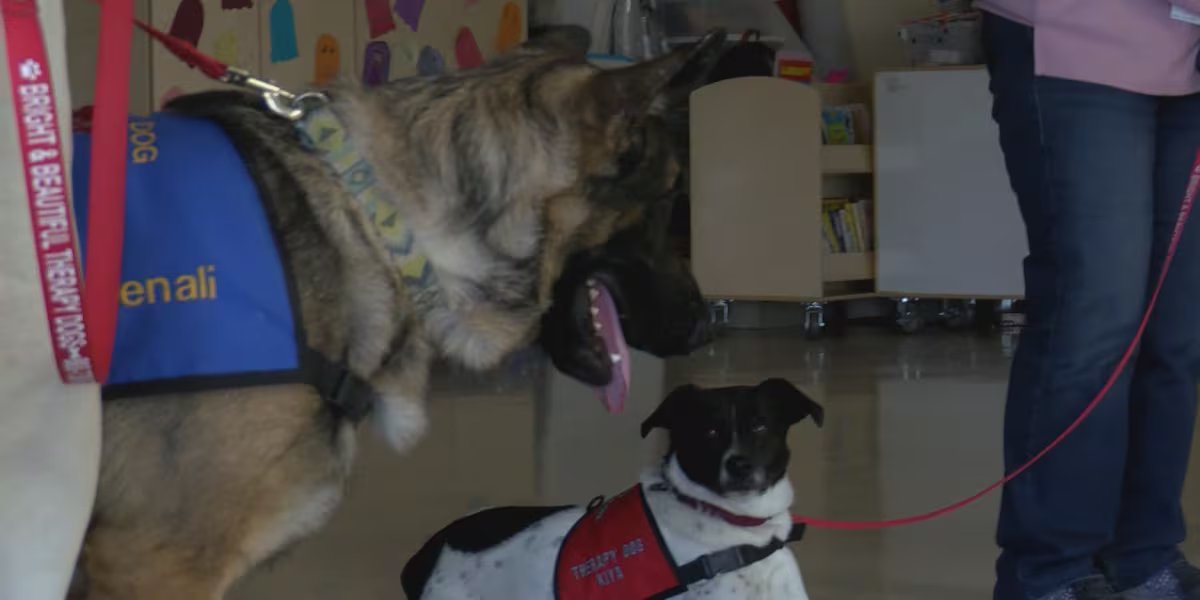 Therapy dogs visit Vestal Hills Elementary for Mental Health Awareness Week Therapy dogs visit Vestal Hills Elementary for Mental Health Awareness Week