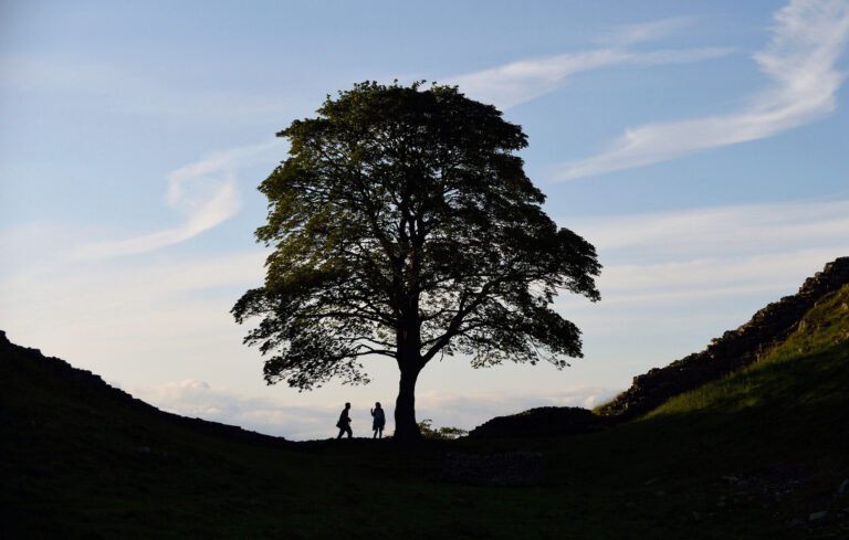 ‘Turning a moment of loss into something hopeful’ ‘Turning a moment of loss into something hopeful’