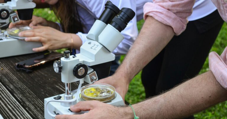 5 citizen science projects that actually make a real difference Search