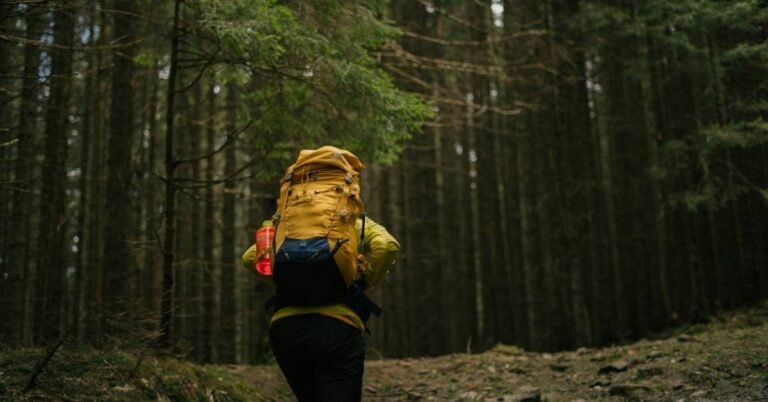 A connection to nature fuels well-being, new study finds Search