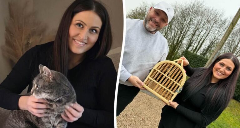 After 5 Years, Missing Cat Finally Reunited With Owner Thanks to Old Facebook Post from When He was Stolen After 5 Years, Missing Cat Finally Reunited With Owner Thanks to Old Facebook Post from When He was Stolen
