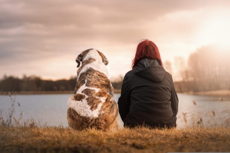 How To Care About The Needs Of Others https://www.facebook.com/profile.php?id=100063484929929