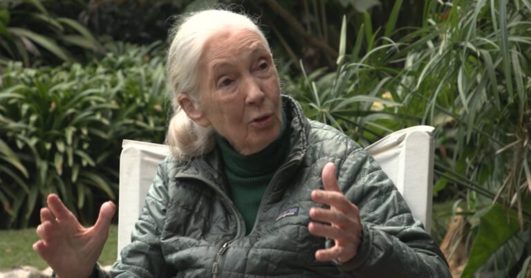 Jane Goodall offers words of inspiration in Earth Day interview Search