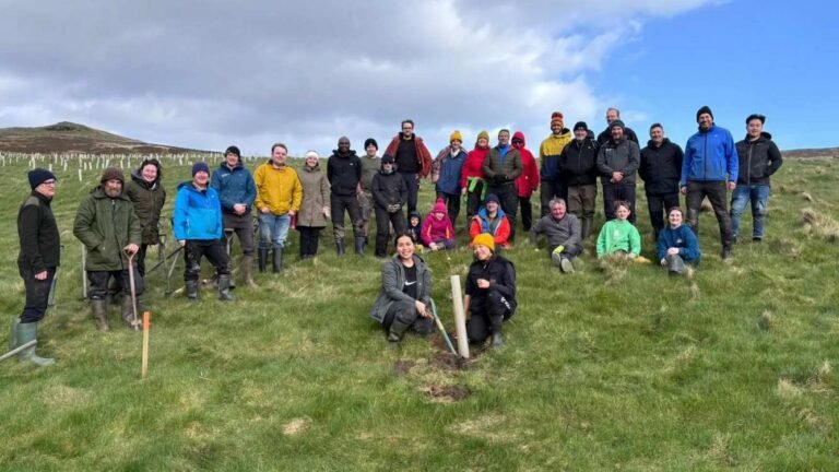 Planting 30,000 Trees Surpasses Goal for Regenerating a Rainforest on the Isle of Man
