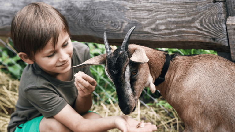 Positively Uplifting Stories | April 13 2026 Positively Uplifting Stories | April 13 2026