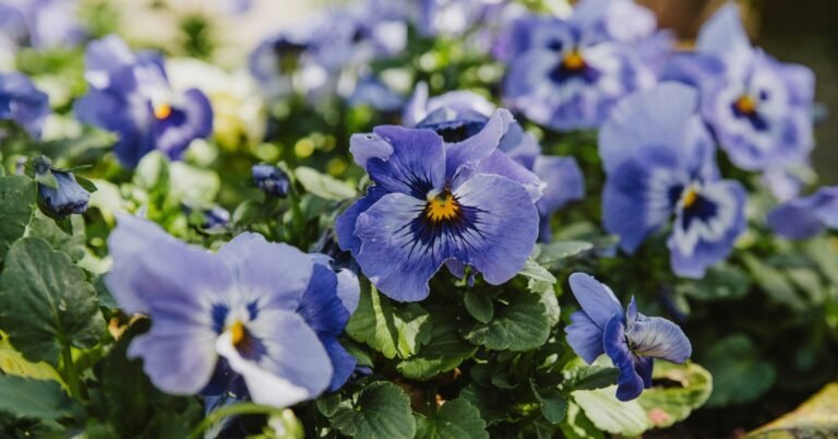 At this NYC garden, all the plants are gay Search