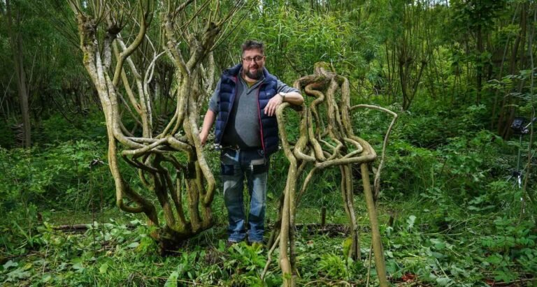 Britain’s First Furniture Orchard Grows Chairs Right on the Trees (WATCH) Britain’s First Furniture Orchard Grows Chairs Right on the Trees (WATCH)