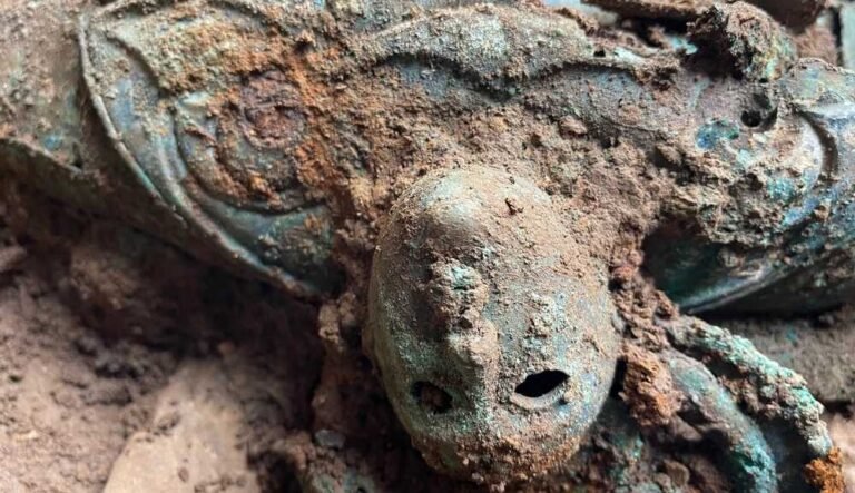 Britain’s Largest Iron Age Hoard on Display for the First Time Includes Evidence of First 4-Horse Carriage Britain's Largest Iron Age Hoard on Display for the First Time Includes Evidence of First 4-Horse Carriage