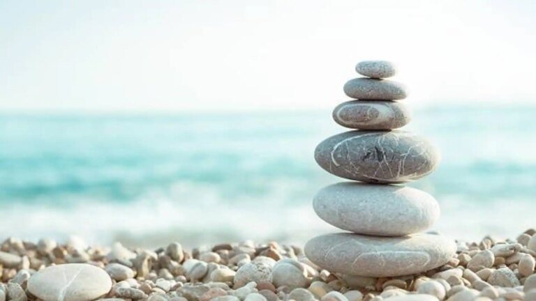 Design your perfect wellness plan with these AI tools Design your perfect wellness plan with these AI tools