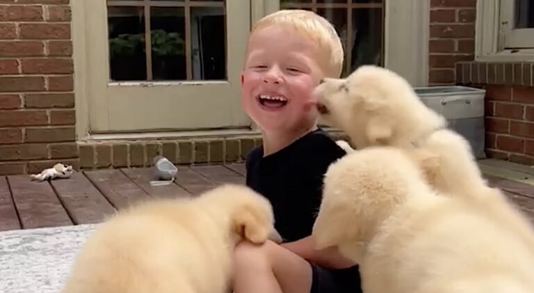 Helping Children Laugh Can Make Their Brains More Resilient and Learning Easier Helping Children Laugh Can Make Their Brains More Resilient and Learning Easier