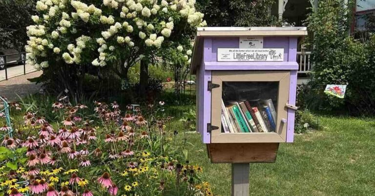 ‘Little Bee Libraries’ are sanctuaries for pollinators Search