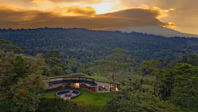 The New Corporate Strategy to Protect Employee Mental Health ⋆ The Costa Rica News The New Corporate Strategy to Protect Employee Mental Health ⋆ The Costa Rica News