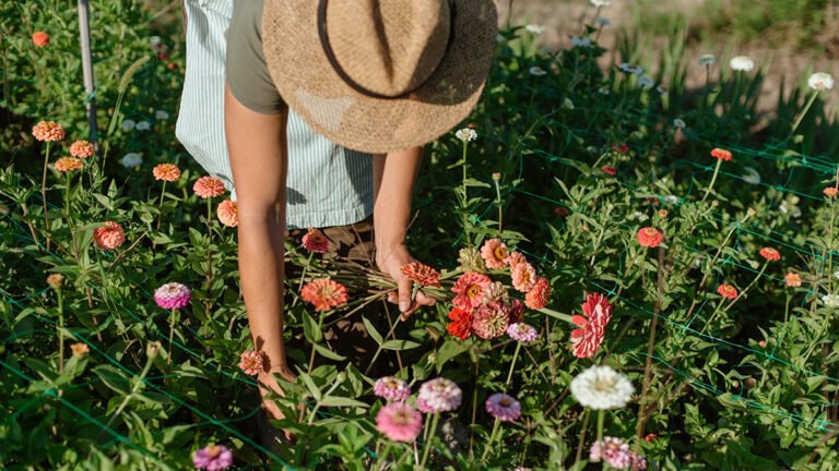 The Real Reason Time Outdoors Improves Your Well-Being, Per A Massive New Study The Real Reason Time Outdoors Improves Your Well-Being, Per A Massive New Study