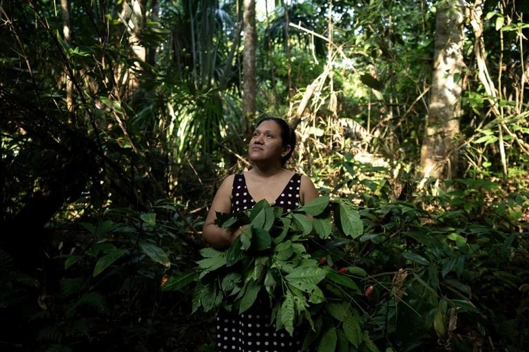 Tradition, Self-Care Boost Public Health in Americas Tradition, Self-Care Boost Public Health in Americas