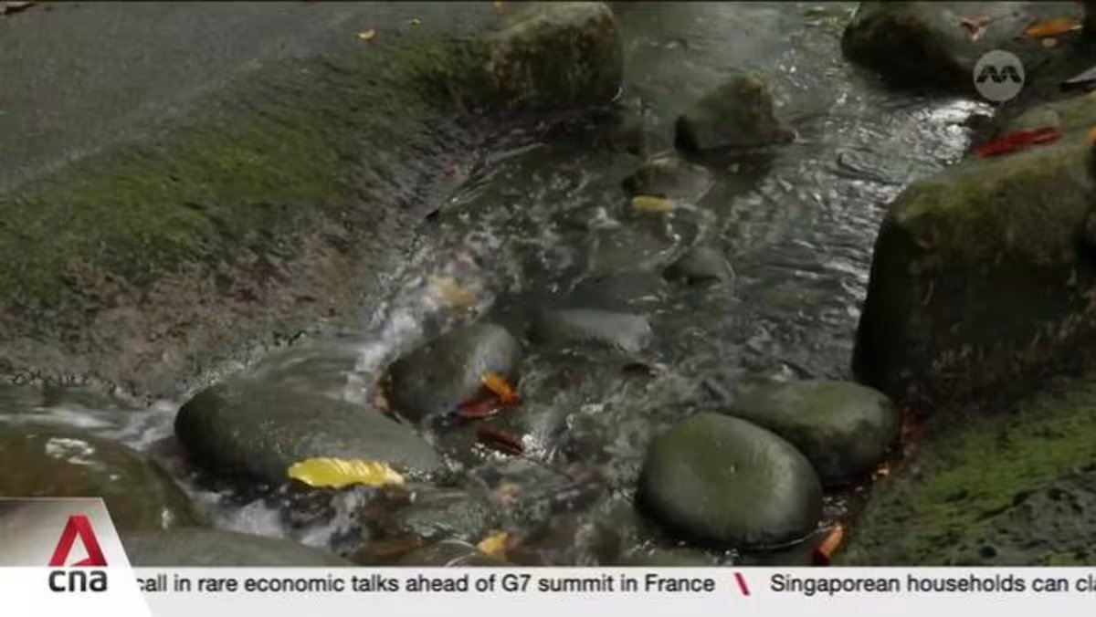 150-metre trial in Botanic Gardens aims to encourage mindful engagement with nature 150-metre trial in Botanic Gardens aims to encourage mindful engagement with nature