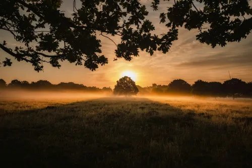 40 Quotes for Letting Go and Coping with All Those Things You Can’t Control 40 Quotes for Letting Go and Coping with All Those Things You Can’t Control
