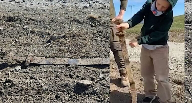 6-Year-old Finds Ancient Viking Sword on School Field Trip, Buried for 1,300 Years 6-Year-old Finds Ancient Viking Sword on School Field Trip, Buried for 1,300 Years