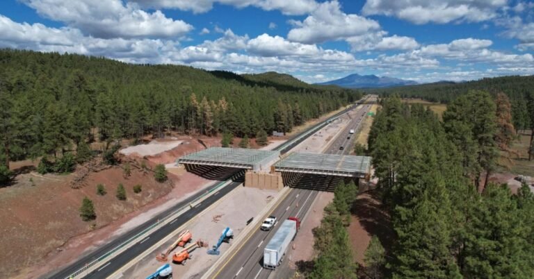 Arizona is building its 27th wildlife crossing Search