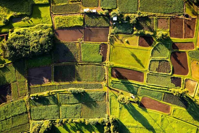 Biggest Change to English Farming Policy Since WWII Aims to Make Agriculture Profitable and Resilient