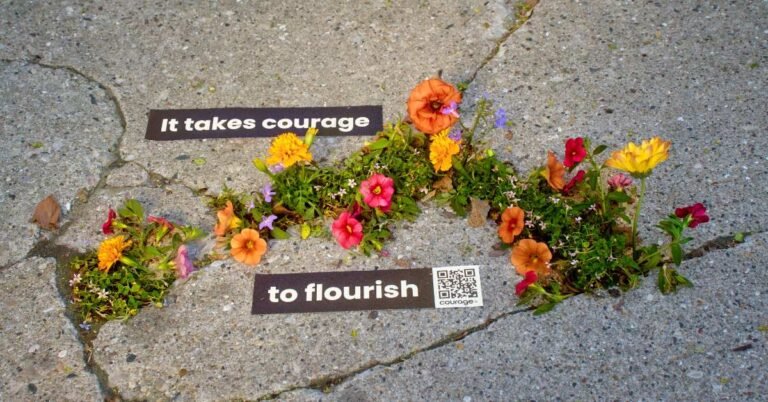 Cities plant flowers in sidewalk cracks to advocate for LGBTQ+ youth Search