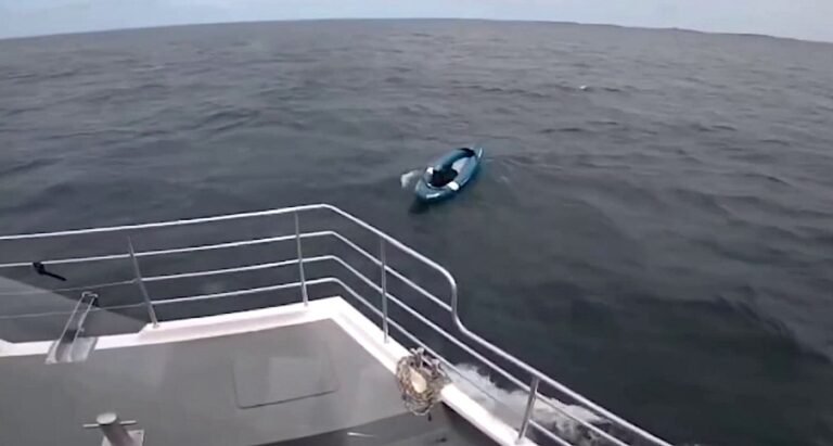 Dog Rescued After Being Swept Out to Sea on Inflatable Kayak Headed Toward Norway Dog Rescued After Being Swept Out to Sea on Inflatable Kayak Headed Toward Norway