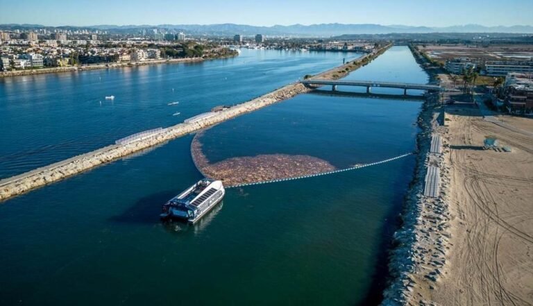 Dutch Ocean Cleanup Folks Are Clearing LA’s Rivers of Trash in Time for 2028 Olympics Dutch Ocean Cleanup Folks Are Clearing LA’s Rivers of Trash in Time for 2028 Olympics