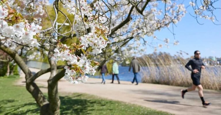 For every dollar invested in public parks, cities see $3 back Search