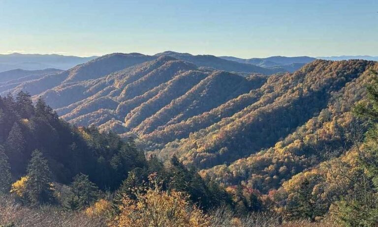 Great Smokey Mountains Will Soon Get Even Greater – Thanks to Nonprofit’s Land Purchase Great Smokey Mountains Will Soon Get Even Greater – Thanks to Nonprofit’s Land Purchase