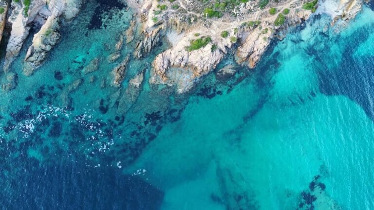 Greenland sheds new light on underwater carbon sink Greenland sheds new light on underwater carbon sink
